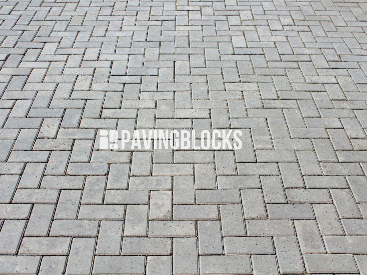 Foto proyek pemasangan paving block