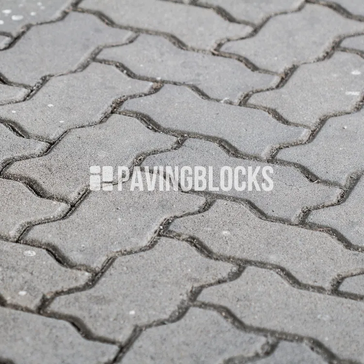 Paving Block Cacing Terpasang