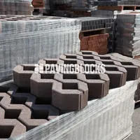 Paving Block Grass Block Detail Lubang