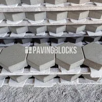 Paving Block Hexagon Abu Natural
